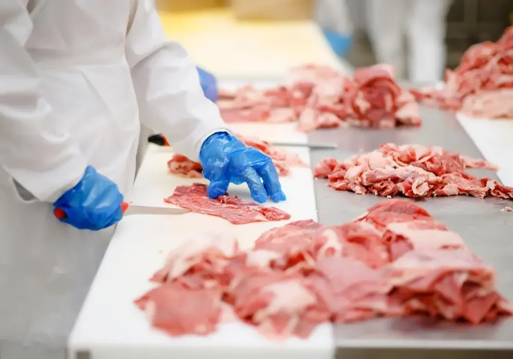 Mięso kebab gdzie kupić – najlepsze miejsca na zakupy w Polsce