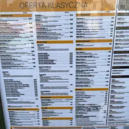Duże frytki w McDonald's kosztują 9,50 zł.